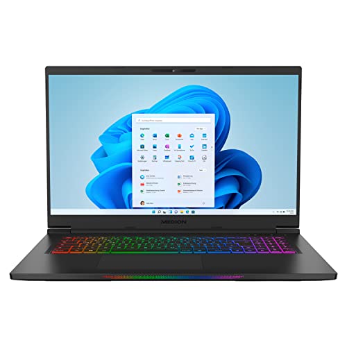 ERAZER Beast X30 43,9 cm (17,3 Zoll 100% sRGB 165Hz) QHD Gaming Notebook (Intel Core i7-12700H, 32GB DDR5 RAM, 2TB PCIe SSD, GeForce RTX 3070 Ti 8GB GDDR6 VRAM, Win 11 Home) von ERAZER