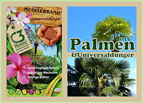 Freilandpalmendünger, Palmendünger, Hanfpalmendünger 1,5 Kg Original Mediterrano von Mediterrano