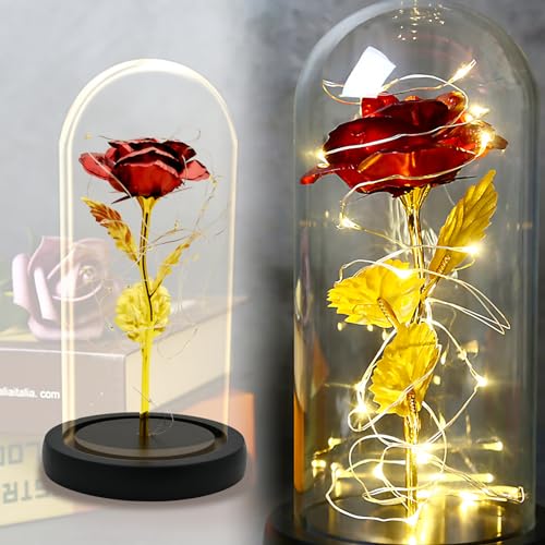MEDOYOH Glaskuppel für schwarze rote Rose, die Schöne und das Biest Rose mit 20 LEDs 2 m/6,6 ft Lichterkette inklusive Batterien für Valentinstag, Geburtstag, Hochzeit, Jahrestag, Muttertag von MEDOYOH
