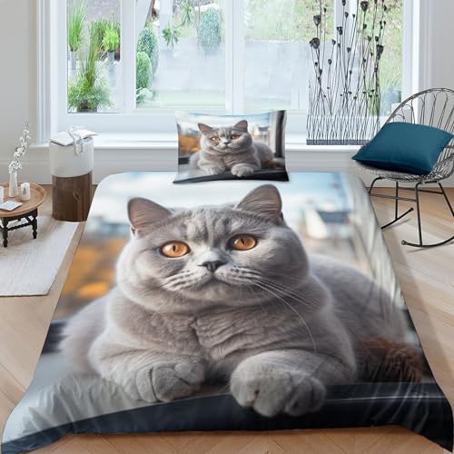 Britisch-Kurzhaar-Katze Bed Linen 2 Piece Blaue Katze Duvet Cover 3D Print Mikrofaser Für Kinder Teenager Erwachsene Tagesdecke Bezug with Zip Hypoallergener Hypoallergener Bedding Einzeln（135x200cm） von MEFESE