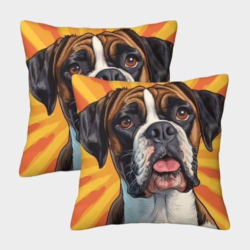 MEFESE Boxer Kissenbezug 2er Set Kissenbezüge Wohnzimmer Kissenhülle Couchkissen Waschbar Kopfkissenbezug Für Sofa Schlafzimmer Couch Outdoor Deko Kissen 50x50cm von MEFESE