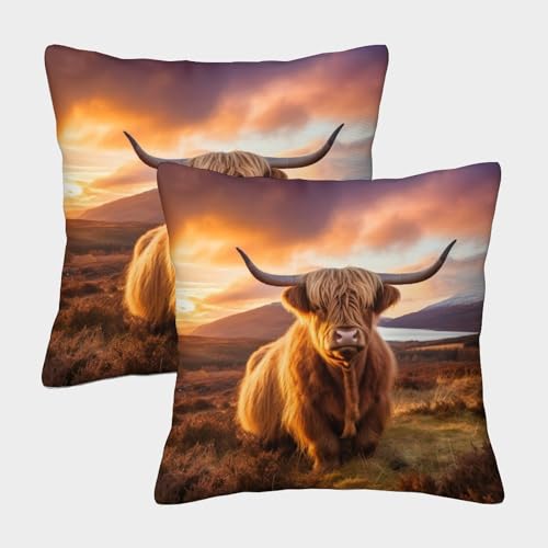 MEFESE Hochland-Kuh Personalisiertes Kissenbezug 2er Set - Dekorative Kopfkissenbezüge Für Sofa, Milchkuh Schlafzimmer, Auto - Geeignet Für Allergiker 40x40cm von MEFESE