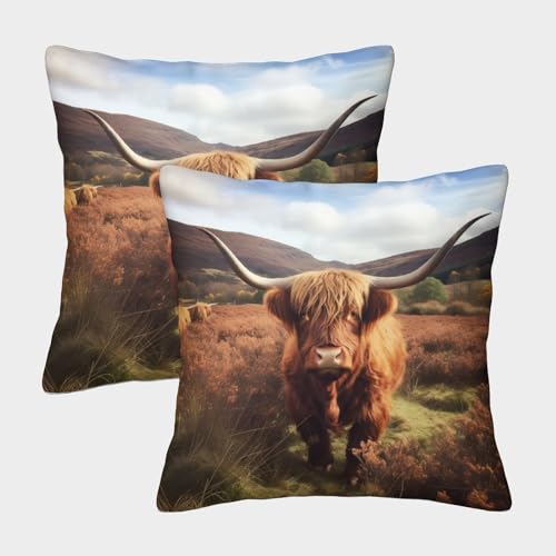 MEFESE Hochlandrinder Dekorative Kuh Kissenbezüge Im 2er-Set, Geeignet Für Living Room Accent Und Outdoor Leisure, Maschinenwaschbar 50x50cm von MEFESE