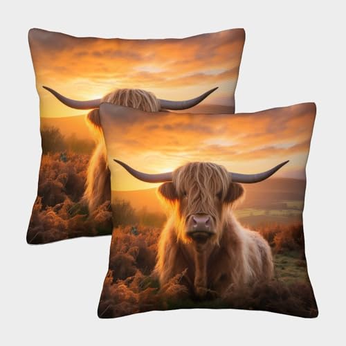 MEFESE Hochlandrinder Kissenbezüge Für Sofa Und Bett, Kuh Kissenbezug Im 2er-Set, Geeignet Für Kids Room Fun Und Travel Essential, Maschinenwaschbar 45x45cm von MEFESE