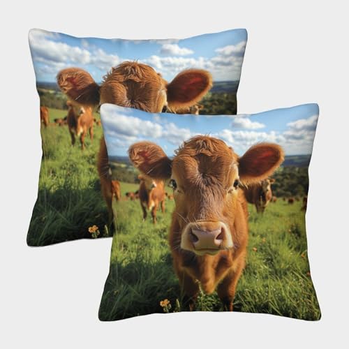 MEFESE Niedliche Kuh Kissenbezug 2er Set Kissenbezüge Wohnzimmer Kissenhülle Sofakissen Waschbar Kopfkissenbezug Für Sofa Stuhl Bett Garten Deko Kissen 50x50cm von MEFESE