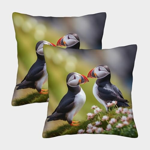 MEFESE Papageientaucher Kissenbezüge 2er-Set Innen Deko Vögel am Meer Kissenbezug Für Schlafzimmer Sofa Kissenhülle Versteckter Reißverschluss Innen Deko Für Sofa, Couch, Stuhl 45x45cm von MEFESE