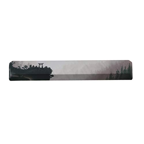 MEIBAOGE SpaceBar Keycap PBT Five SidesFive Sides Dye-Subbed 6.25U Space Keycap Fits for Mechanical Keyboard MEIBAOGE SpaceBar Keycap PBT Five SidesFive Sides Dye-Subbed 6.25U Space Keycap Fits for Mechanical Keyboard von MEIBAOGE