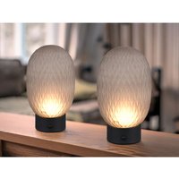 Meinewunschleuchte - 2er set kleine Akku Tischleuchten mit Rauchglas Schirm, Höhe 20,5cm von MEINEWUNSCHLEUCHTE