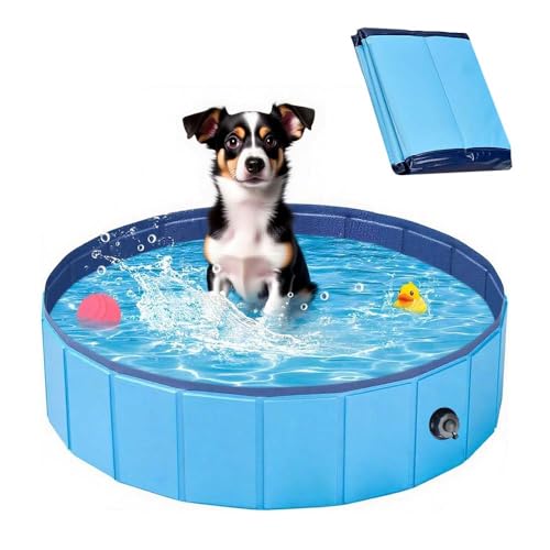 Hundepool,Hundeplanschbecken 80 * 20cm,Faltbarer Pool für Hunde,Tragbare Hundebadewanne,Kleines Planschbecken für Welpen und Kinder von MEISHANG
