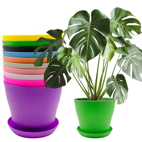 10 Stück Blumentopf mit Untersetzer, 14cm Pflanztopf Plastik Dekorative Pflanztöpfe Bunte, übertopf Kunststoff mit Mehrere Ablauflöchern, Blumentöpfe Set für Innen und Gartenpflanzen (10 Farbig) von MEIYAXINWIN