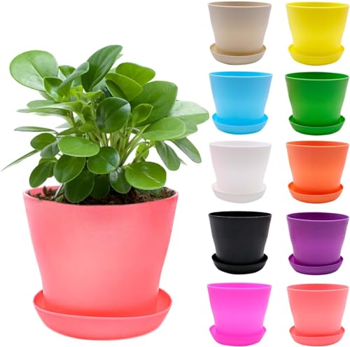MEIYAXINWIN 10 Stück Blumentopf Klein mit Untersetzer, 10cm Pflanztopf Plastik Dekorative Pflanztöpfe Bunte, Mini übertopf Kunststoff, Kleine Blumentöpfe Set für Innen und dem Balkon Pflanzen von MEIYAXINWIN