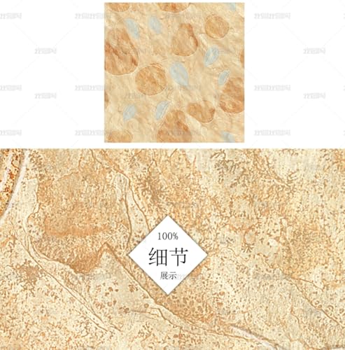 MEIZONGHUOJI Selbstklebend Tapete Obst Birne gelbe Ziegelmauer 45 * 600CM Selbstklebende Folie Abnehmbar Vinyl Klebefolie Wasserdicht Dekorfolie für Wohnzimmer Schlafzimmer Küche Wand Möbel MEIZONGHUOJI Selbstklebend Tapete Obst Birne gelbe Ziegelmauer 45 * 600CM Selbstklebende Folie Abnehmbar Vinyl Klebefolie Wasserdicht Dekorfolie für Wohnzimmer Schlafzimmer Küche Wand Möbel von MEIZONGHUOJI