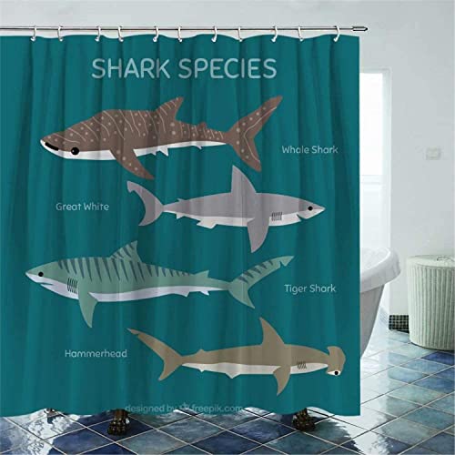 MEKPAM Hai Duschvorhang Walhai Tigerhai Hammerhai Stoff Duschvorhang Mit Haken Badezimmervorhang Sets Badezimmerdekoration 180X180cm von MEKPAM