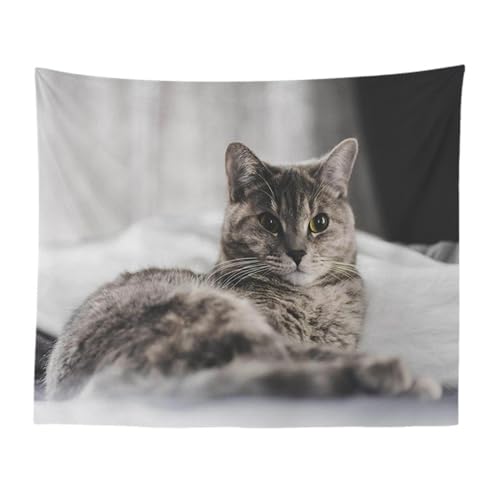 MEKPAM Niedlicher Hund Katze Wandteppich Tier Wandbehang Dekor Persönlichkeit Wohnzimmer Schlafzimmer Heimtextilien Wand Decke Teppich Teppich Matte 200x150cm von MEKPAM