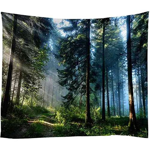 MEKPAM Wald Wandteppich Wandbehang Wandteppiche Sonnenschein Baum Wohnkultur Wandtuch 200x150cm von MEKPAM