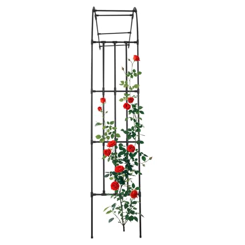 Metall Rosenbogen Halbbogen 120x260cm, Stabiles Rankgitter aus Stahl mit Verzinkung & Pulverbeschichtung, für Kletterpflanzen, Rankhilfe Rankbogen Gartenbogen für Balkon Terrasse Garten Metall Rosenbogen Halbbogen 120x260cm, Stabiles Rankgitter aus Stahl mit Verzinkung & Pulverbeschichtung, für Kletterpflanzen, Rankhilfe Rankbogen Gartenbogen für Balkon Terrasse Garten von MELAQULY