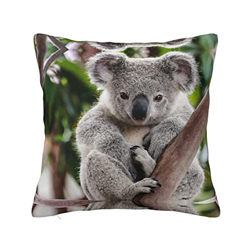 MELPHI Niedliches Kissen mit Koala-Druck, kann in jedem Zimmer, Schlafzimmer, Gästezimmer, Kinderzimmer verwendet werden von MELPHI