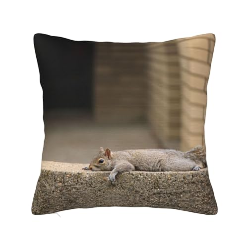 MELPHI Quadratisches Kissen mit Eichhörnchen-Motiv, kann in jedem Zimmer, Schlafzimmer, Gästezimmer, Kinderzimmer verwendet werden von MELPHI