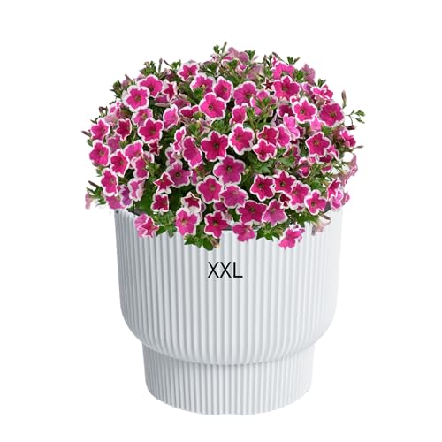 Blumenkübel Blumentopf mit Herausnehmbaren Einsatz Rund Frostbeständiger Modern mit Rillen (Weiß, XXL) von MELTOM