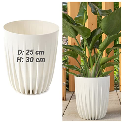 MELTOM Blumentopf Rund Übertopf sehr DEKORATIV Struktur Größe L/DxH: 25 x 30 cm Creme MELTOM Blumentopf Rund Übertopf sehr DEKORATIV Struktur Größe L/DxH: 25 x 30 cm Creme von MELTOM