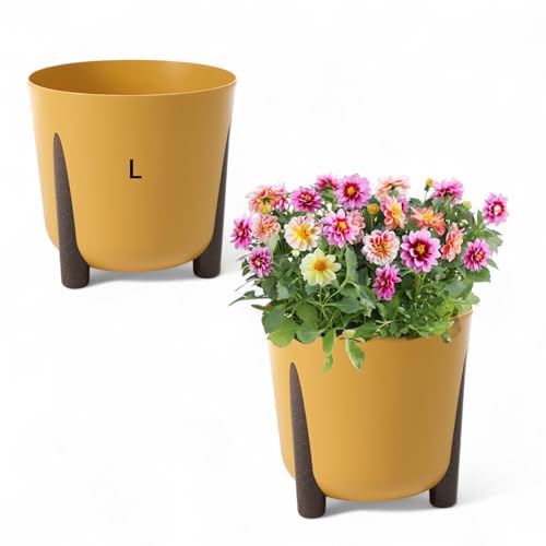 Blumentopf mit Füßen Rund Übertopf Pflanztopf L - DxH: 30 x 25 cm (SENF) von MELTOM