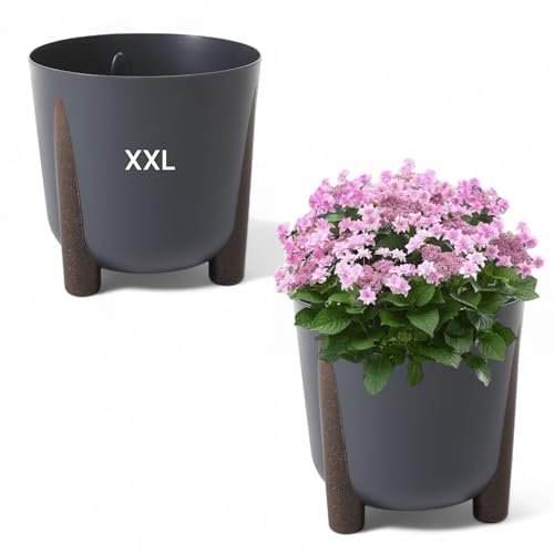 Blumentopf mit Füßen Rund Übertopf Pflanztopf XXL - DxH: 34 x 32 cm (ANTHRAZIT) von MELTOM