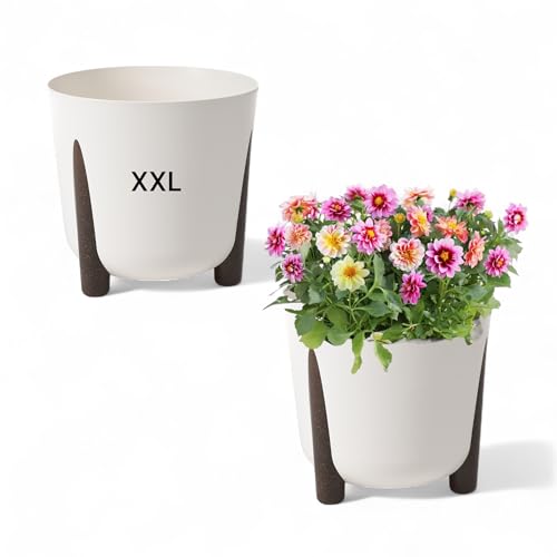 Blumentopf mit Füßen Rund Übertopf Pflanztopf XXL - DxH: 34 x 32 cm (CREMIG) von MELTOM