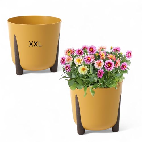 Blumentopf mit Füßen Rund Übertopf Pflanztopf XXL - DxH: 34 x 32 cm (SENF) von MELTOM