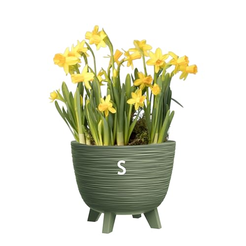 MELTOM Blumentopf mit Füßen aus Kunststoff Schale Rund Kräutertopf 3D Rillen (Grün, S-24cm) von MELTOM