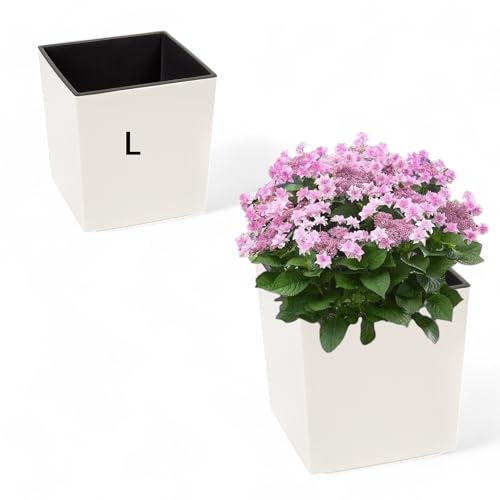 MELTOM Pflanzkübel aus Kunststoff in Hochglanz Farbe mit Herausnehmbaren Einsatz (Creme, L-26cm) von MELTOM