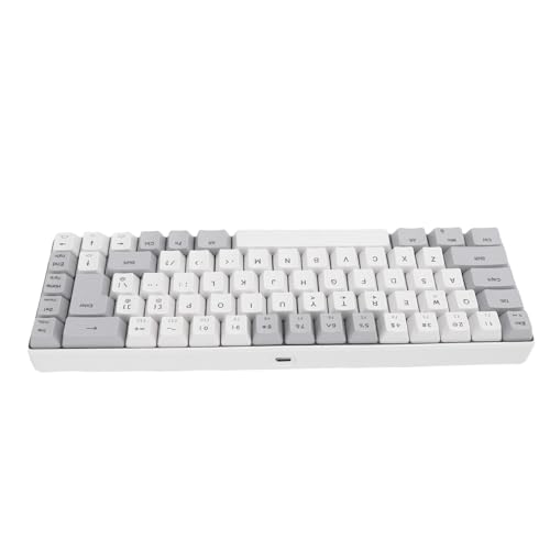 MENDUNER RGB Backlight Mechanical Gaming Tastatur, Kompaktes 60% Layout 68 Kabeltastatur, 25 Anti Ghosting Tasten, Plug and Light up Tastatur für PC (Grauer weißer Farbblock) von MENDUNER