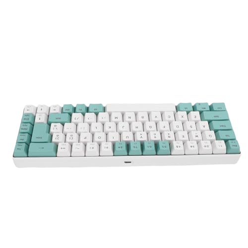 MENDUNER RGB Backlight Mechanical Gaming Tastatur, Kompaktes 60% Layout 68 Kabeltastatur, 25 Anti Ghosting Tasten, Plug and Light up Tastatur für PC (Grüner weißer Farbblock) von MENDUNER