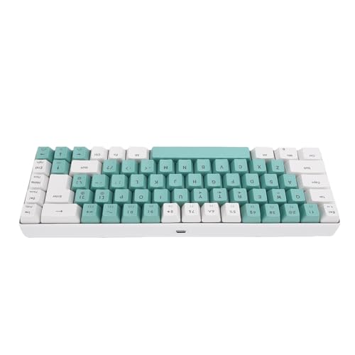 MENDUNER RGB Backlight Mechanical Gaming Tastatur, Kompaktes 60% Layout 68 Kabeltastatur, 25 Anti Ghosting Tasten, Plug and Light up Tastatur für PC (Weißgrün -Farbblock) von MENDUNER