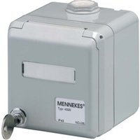 Mennekes Datendose Cepex lgr f. 2 Module 4375G Mennekes Datendose Cepex lgr f. 2 Module 4375G von MENNEKES