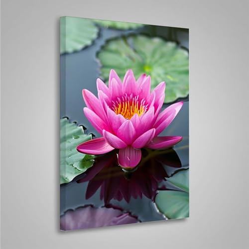 5D Diamant Painting Bilder Blume Diamond Painting Erwachsene Blumen DIY Runden Mosaikherstellung Basteln Erwachsene Anfänger Set für Heim Schlafzimmer Wand Deko, Geschenke 30x40cm PjY5688 5-B von MEOSUEWI