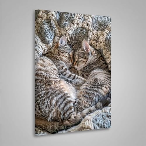 5D Diamant Painting Bilder Katze Diamond Painting Erwachsene Tier DIY Runden Mosaikherstellung Basteln Erwachsene Anfänger Set für Heim Schlafzimmer Wand Deko Wohnzimmer, Geschenke 50x70cm PjY8214 7-D 5D Diamant Painting Bilder Katze Diamond Painting Erwachsene Tier DIY Runden Mosaikherstellung Basteln Erwachsene Anfänger Set für Heim Schlafzimmer Wand Deko Wohnzimmer, Geschenke 50x70cm PjY8214 7-D von MEOSUEWI