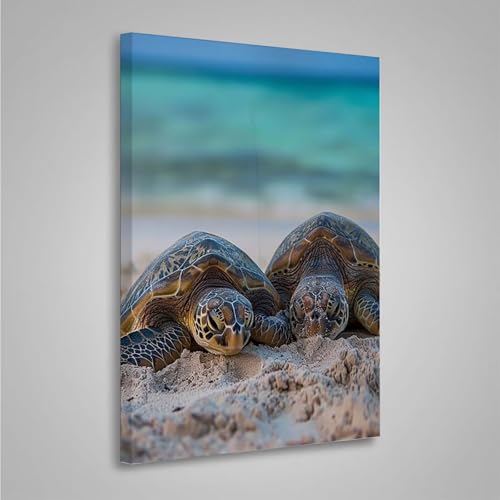 5D Diamant Painting Bilder Meeresschildkröten Diamond Painting Erwachsene Ozean DIY Runden Mosaikherstellung Basteln Erwachsene Anfänger Set für Schlafzimmer Wand Deko, Geschenke 60x80cm PjY4482 U-0 von MEOSUEWI