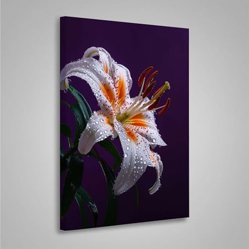 Diamond Painting Erwachsene Blumen 5D Diamond Painting Full Drill Blume Diamant Malerei Bilder DIY Diamont Art Stickerei Set Geeignet Als Geschenk, Zur Entspannung und Wanddeko (60x80cm) PjY5635 2-A von MEOSUEWI