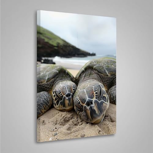 Diamond Painting Erwachsene Meeresschildkröten 5D Diamond Painting Full Drill Tier Diamant Malerei Bilder DIY Diamont Art Stickerei Set Geeignet Geschenk, Entspannung und Wanddeko 50x70cm PjY4359 S-8 Diamond Painting Erwachsene Meeresschildkröten 5D Diamond Painting Full Drill Tier Diamant Malerei Bilder DIY Diamont Art Stickerei Set Geeignet Geschenk, Entspannung und Wanddeko 50x70cm PjY4359 S-8 von MEOSUEWI