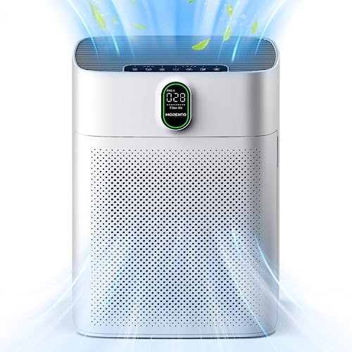MORENTO Luftreiniger Allergiker mit HEPA Luftfilter gegen von Staub Pollen und Tierhaaren entfernen, CADR 300m³/h für 100㎡ Raucherzimmer,PM2.5 LED-Anzeige Air Purifier 24dB 1 Pack 2 Ersatzfilter von MERONTE