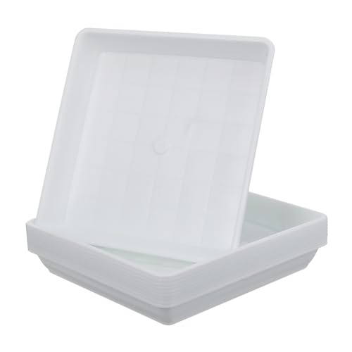 MERRYHAPY 10 Stück Quadratische Blumentopf-untersetzer Weiß Robuste Kunststoff Pflanzenschalen Hitzebeständig und Formstabil für Innen Außenbereich Wasserauffangend für Kleine Pflanztöpfe MERRYHAPY 10 Stück Quadratische Blumentopf-untersetzer Weiß Robuste Kunststoff Pflanzenschalen Hitzebeständig und Formstabil für Innen Außenbereich Wasserauffangend für Kleine Pflanztöpfe von MERRYHAPY