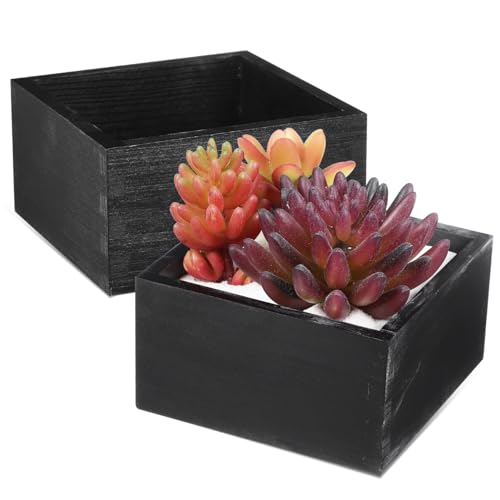 MERRYHAPY 2 Stück Quadratische Planterboxen Rustikal Poliert Vielseitige Aufbewahrung für Stifte Sukkulenten Blumen Desktop Dekoration MERRYHAPY 2 Stück Quadratische Planterboxen Rustikal Poliert Vielseitige Aufbewahrung für Stifte Sukkulenten Blumen Desktop Dekoration von MERRYHAPY