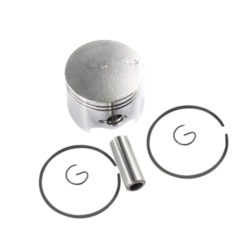 MERRYHAPY 4 Stück Teiliges Kettensägenkolbenring set aus Langlebiger Stahllegierung Passend für Typ Kettensäge Einfach zu Montieren Hohe Härte und Vielseitig für Wald Landwirtschaft von MERRYHAPY