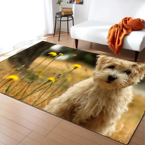 MERVOS Romantische Hund-Katze-Muster Teppich Wohnzimmer Schlafzimmer Küche Bad rutschfest nach Hause Matten von MERVOS