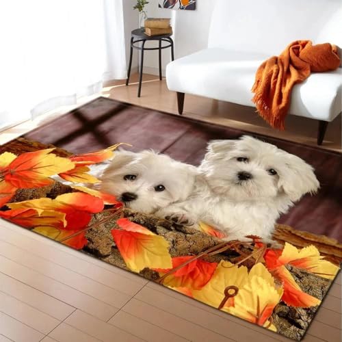 MERVOS Romantische Hundekatze Muster Teppich Wohnzimmer Schlafzimmer Küche Badezimmer rutschfeste Bodenmatten für Zuhause von MERVOS