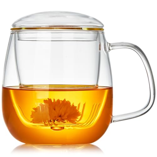 MESNEY Große Teetasse aus Glas, 750 ml, Borosilikat-Teetasse mit Teesieb und Deckel, klare Teetasse zum Aufbrühen von losen Blättern, duftenden Tee und Teebeuteln von MESNEY