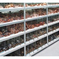 META Regalbau 67849 Fachbodenregal-Anbaumodul 230kg (B x H x T) 1006 x 2500 x 636mm Stahl pulverbesc von META Regalbau