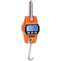 Mini lcd Digital 300kg Tragbare Industrie Elektronische Heavy Duty Gewicht Haken Kran Hängen Skala von METERK