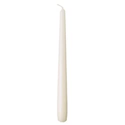 METRO Professional Spitzkerzen | 240 x Ø 22 mm | 7 h Brenndauer | Gastronomiebedarf | Gastronomiekerzen | Household Candles | Made in Europe (elfenbein, 60 Stück) von METRO Professional