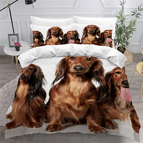MEVASA Bettwäsche 200x200 Teenager Jugendliche Dackel Bettbezug Set 3D Druck Welpe Tier Bettwäsche 3-TLG Mikrofaser Bettbezüge mit 2 Kissenbezug 80 x80 cm MEVASA Bettwäsche 200x200 Teenager Jugendliche Dackel Bettbezug Set 3D Druck Welpe Tier Bettwäsche 3-TLG Mikrofaser Bettbezüge mit 2 Kissenbezug 80 x80 cm von MEVASA